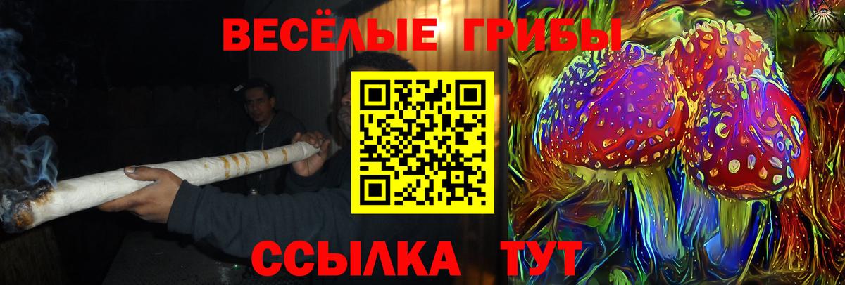 Галлюциногенные грибы мухоморы  Вход с VPN  Анапа 